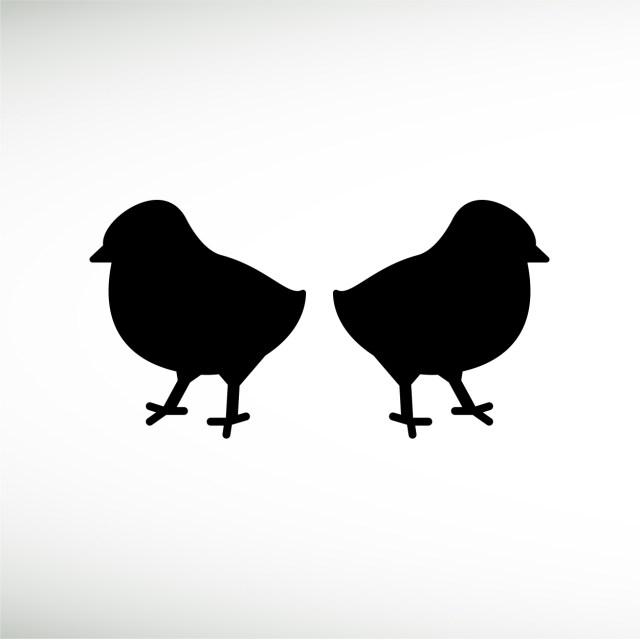 baby-chicken-thumbnail