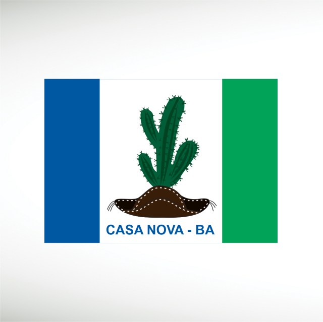 bandeira-casa-nova-ba-thumbnail