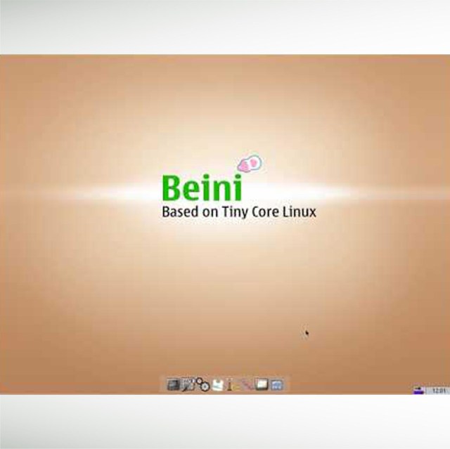 beini-thumbnail5