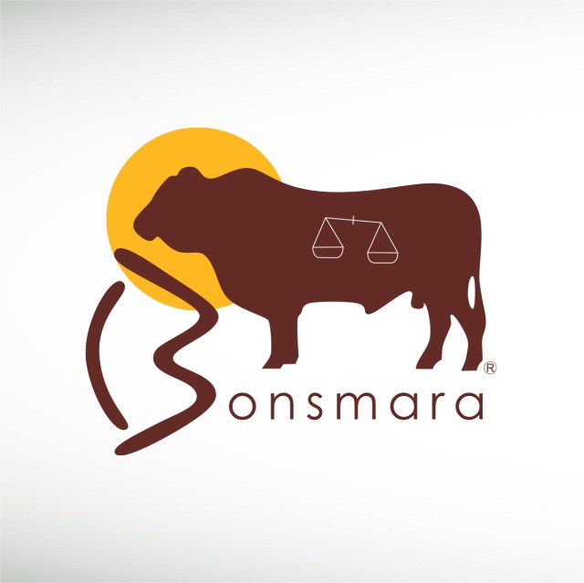 bonsmara-sa-thumbnail