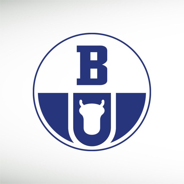 boryszew-group-thumbnail