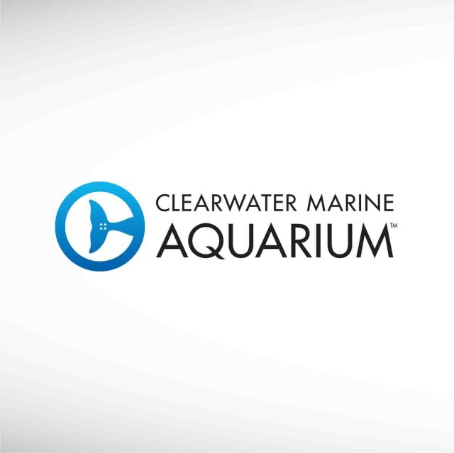 clearwater-marine-aquarium-horizontal-thumbnail