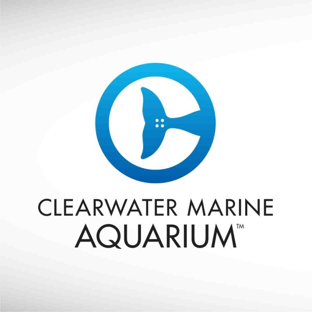 clearwater-marine-aquarium-thumbnail