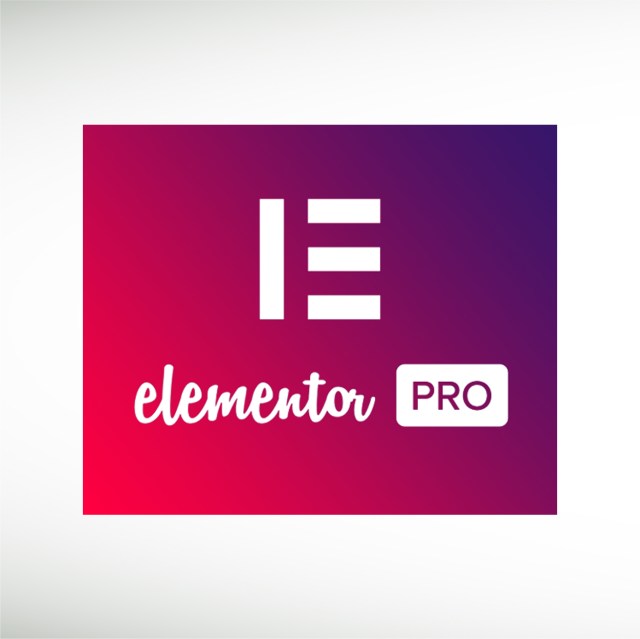 elementor-pro.3.19.3-package-thumbnail