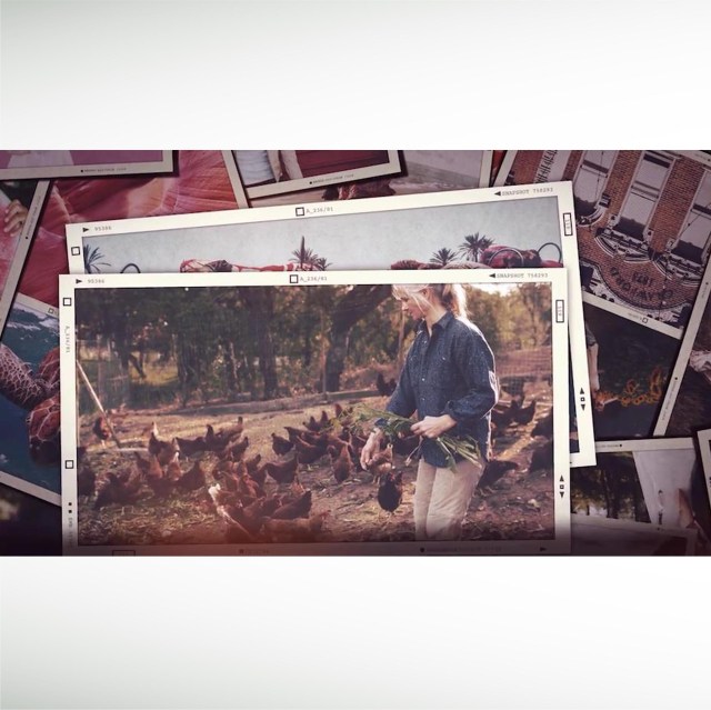 falling-photo-slideshow-thumbnail