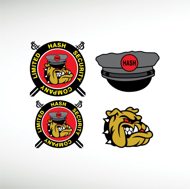 hash-security-company-ltd-thumbnail