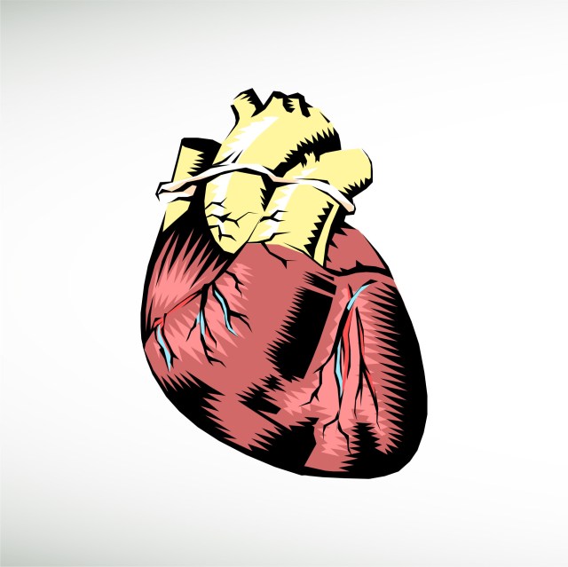 heart-clipart-thumbnail