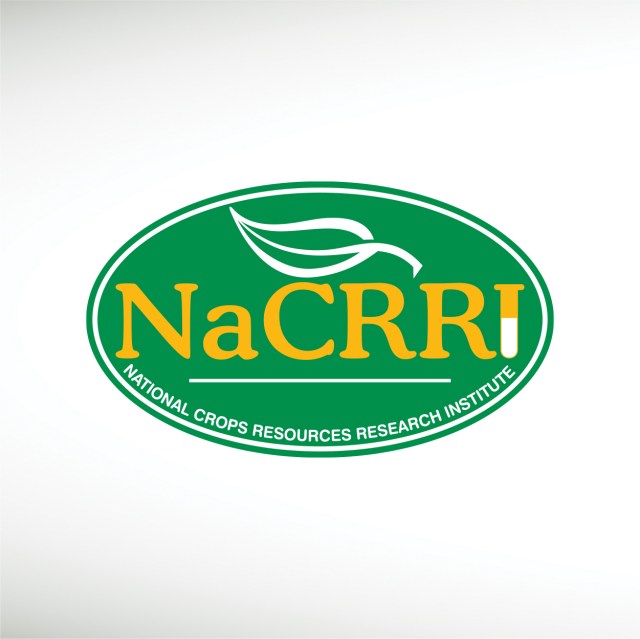 nacrri-national-crops-resources-research-institute-thumbnail