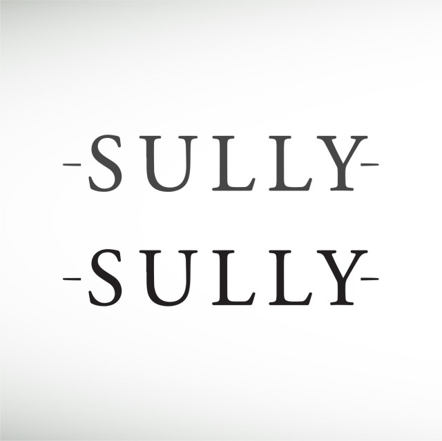 sully-2016-thumbnail