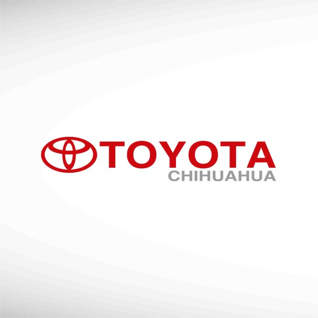 toyota-chihuahua-thumbnail