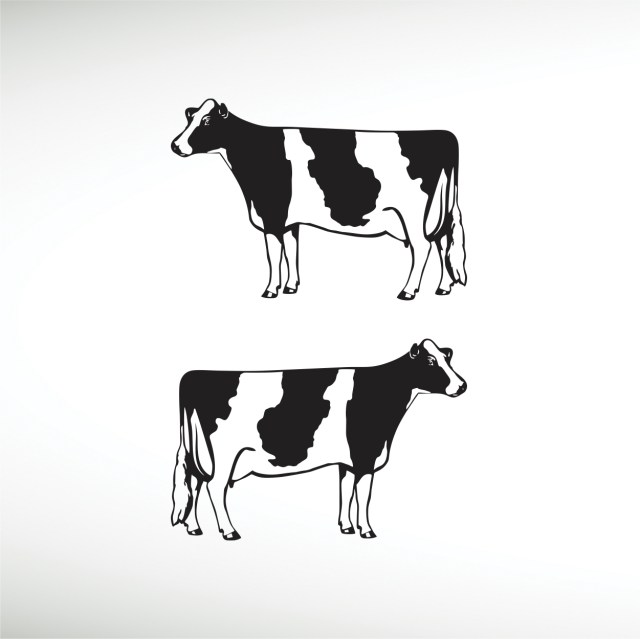 vaca-holandesa-thumbnail